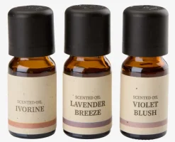 Duftolie LEON 10ml 3 stk/pk