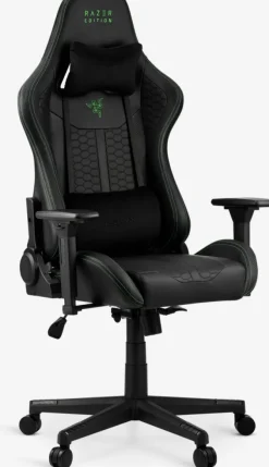 Gamer-stol TYPE Z RAZER ed.邃