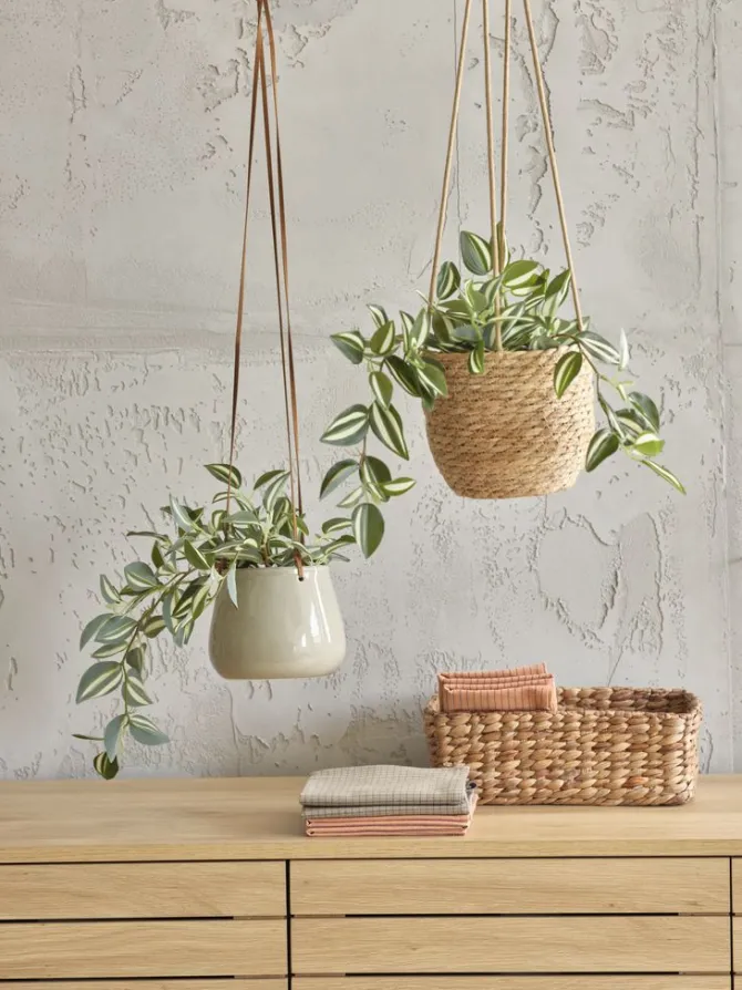 Kunstig plante ASGAR H24cm
