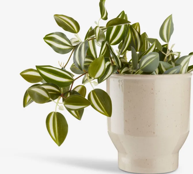 Kunstig plante ASGAR H24cm