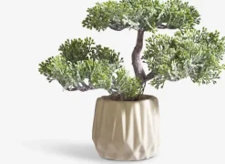 Kunstig plante BRYNJAR H22cm m/potte