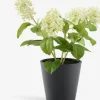 Kunstig plante DANIEL Ø10xH22cm m/potte