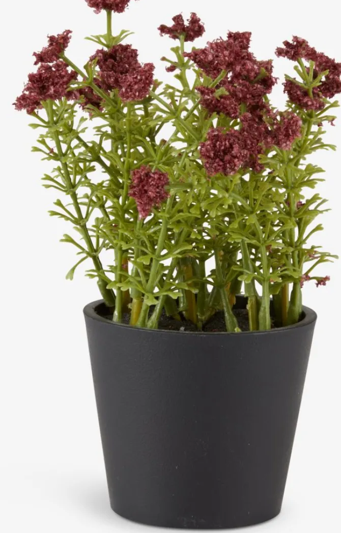 Kunstig plante KALLE Ø13xH16 bordeaux
