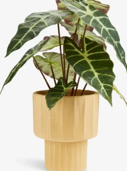 Kunstig plante MARIUS Ø38xH42cm