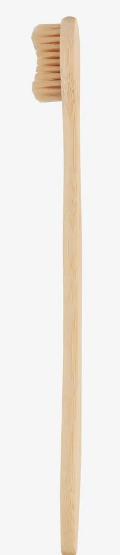 Tandbørste VIDJA 19cm Schima wallichi